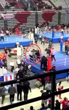 Kick Boks Şampiyonasında Kavga: 4 Hakem Yaralı!